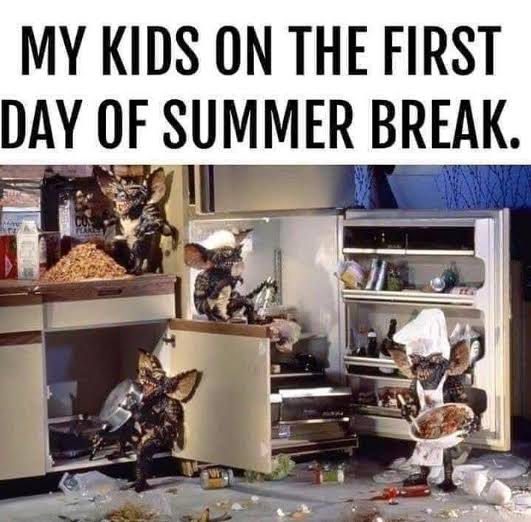 School Holidays Memes for Kids