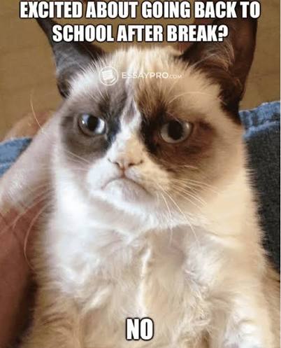 back to school memes